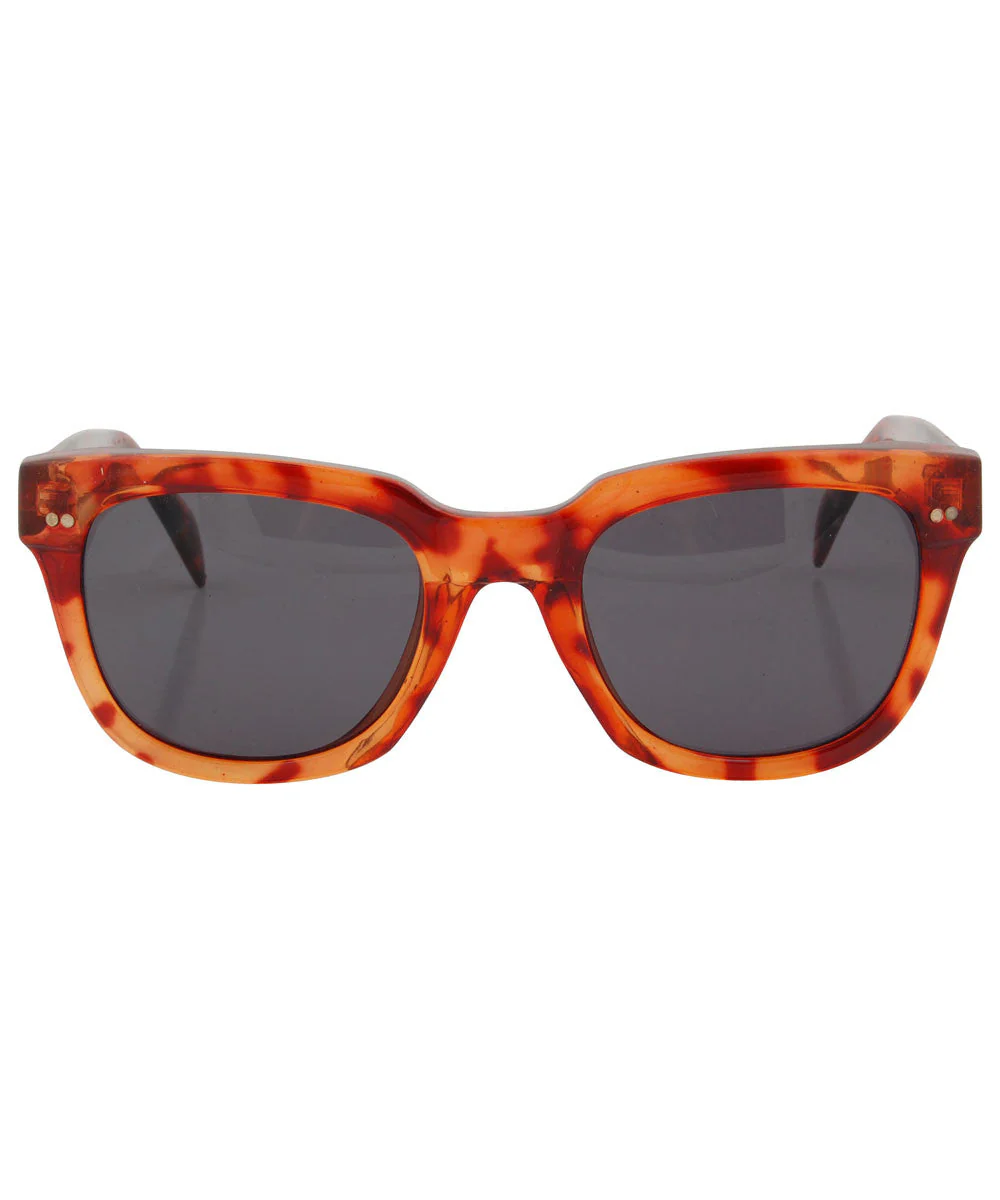Classic Black Acetate Sunglasses
